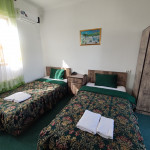 Двухместный номер с видом на парк