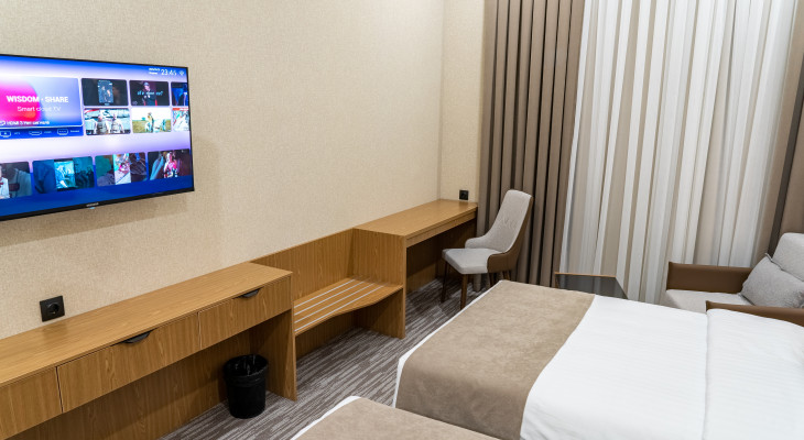 Deluxe Double or Twin Room