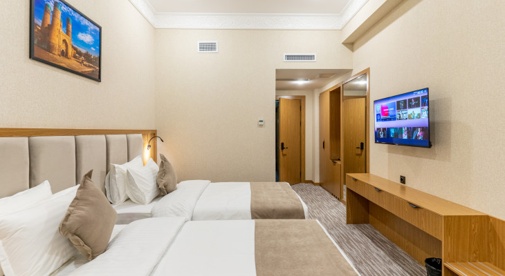 Deluxe Double or Twin Room