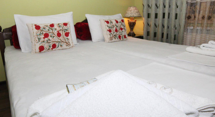 Standard Double or Twin Room